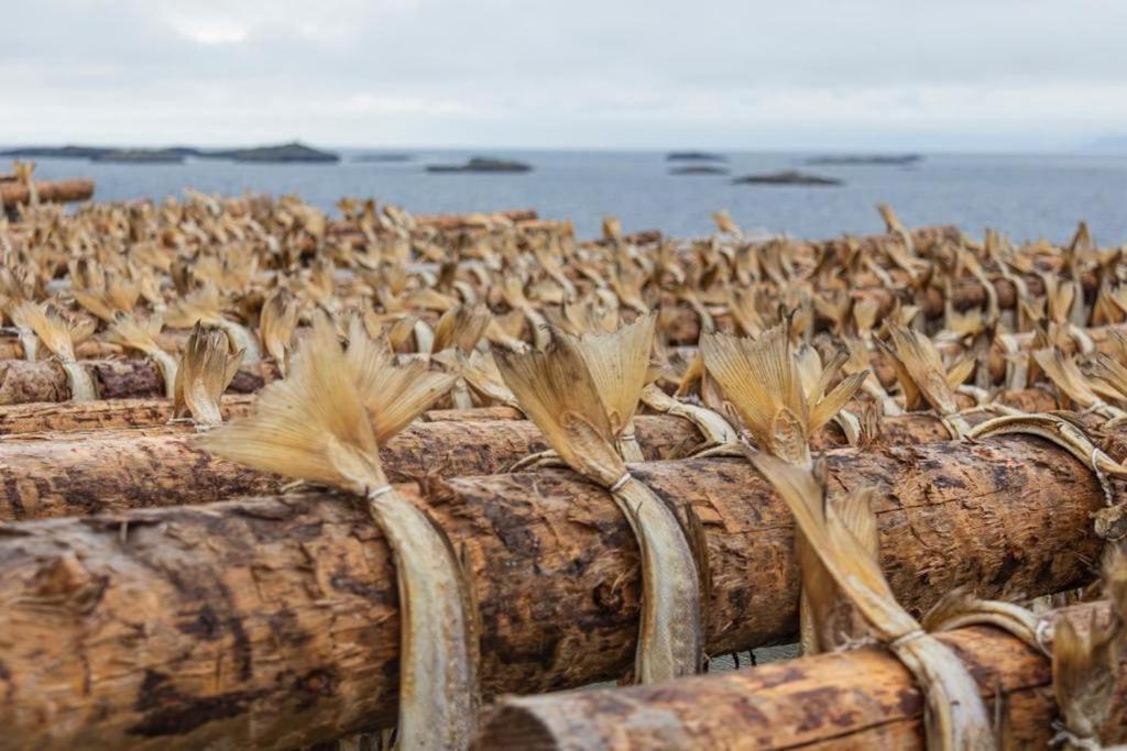 Lofoten Holiday Кабельвог Экстерьер фото